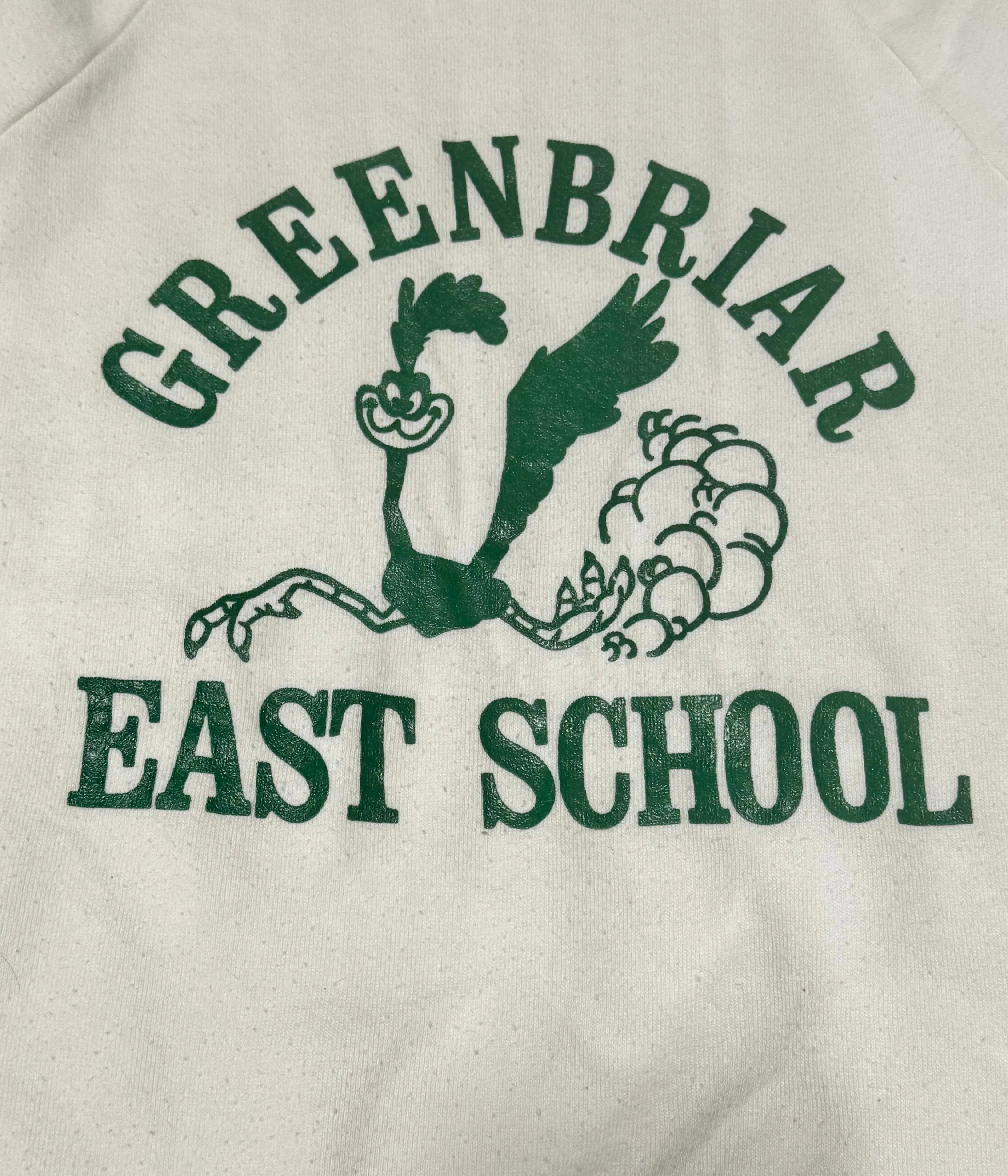 Vintage Greenbriar School- Road Runner Sweatshirt (S)